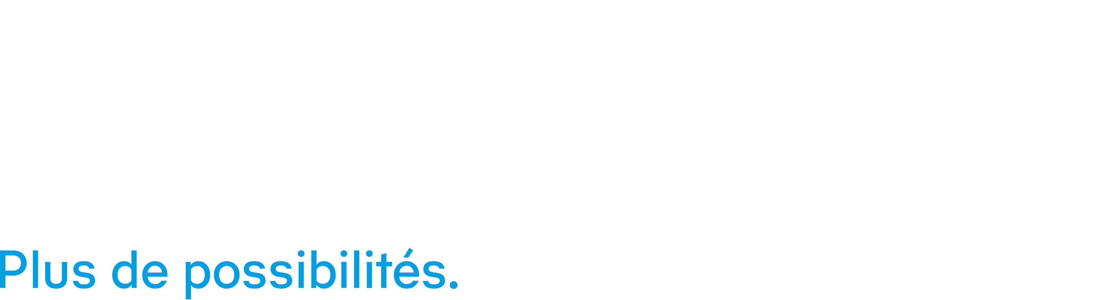 Layher